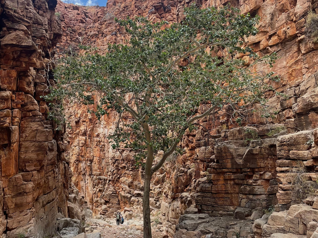 MilleMonti-布雷西亚必去景点