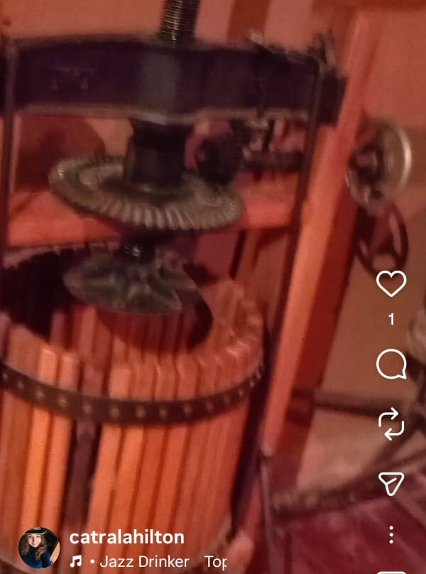 Centro Turistico Cooperativa Capel-Vicuna必去景点