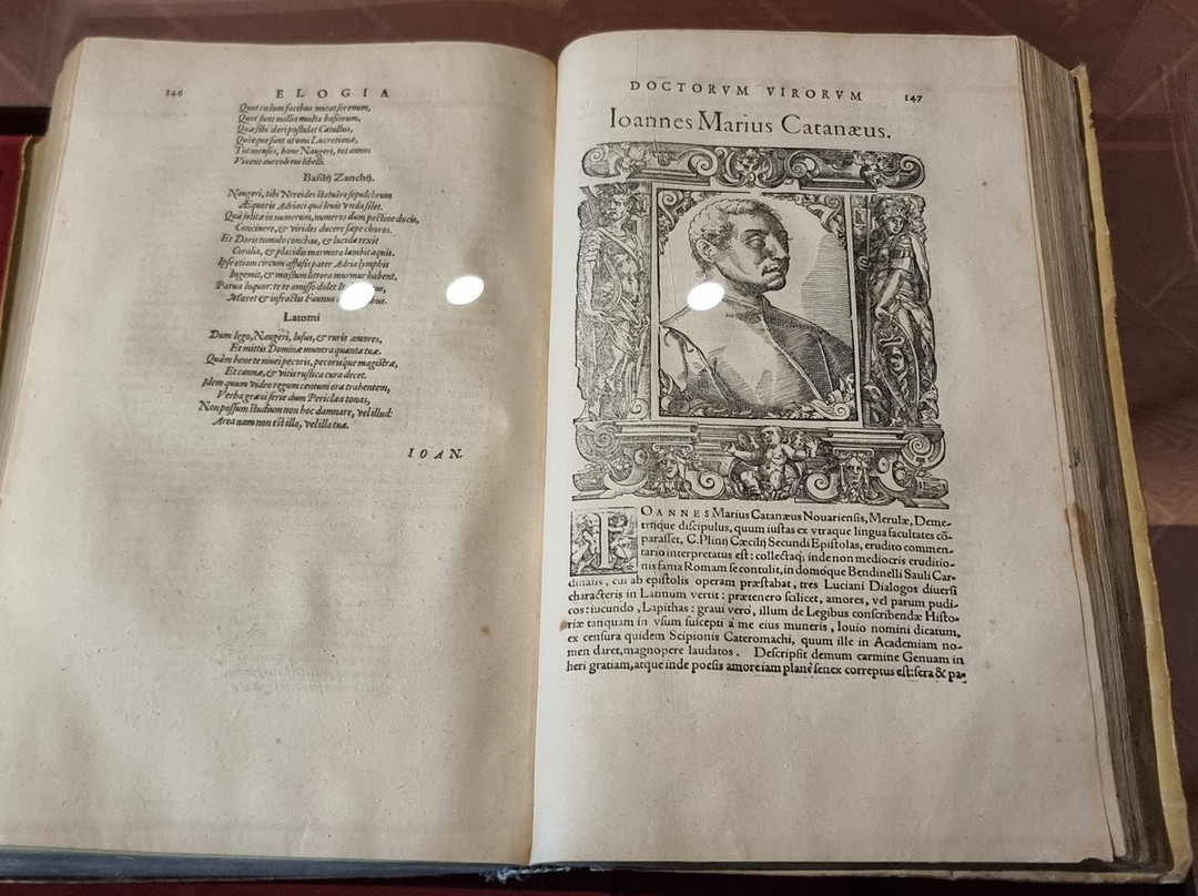 Pinacoteca Civica di Como-科莫必去景点