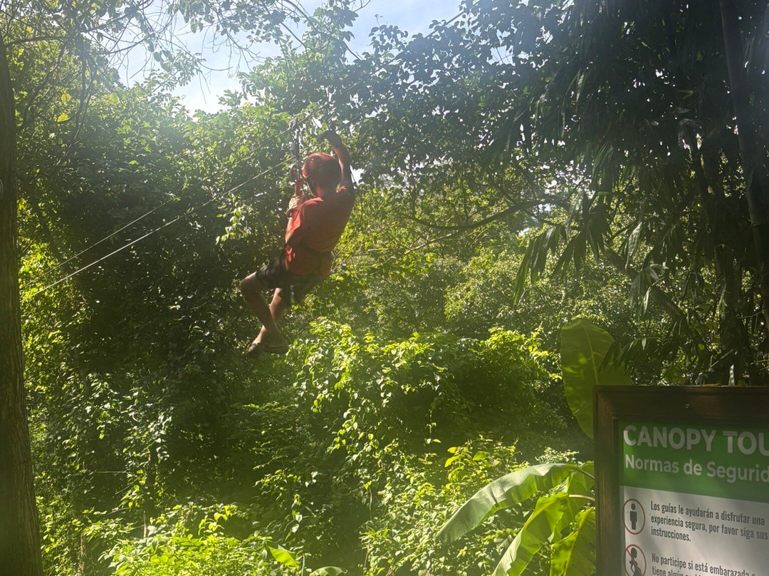 Matt's Fishing & Tours-萨迪纳尔必去景点