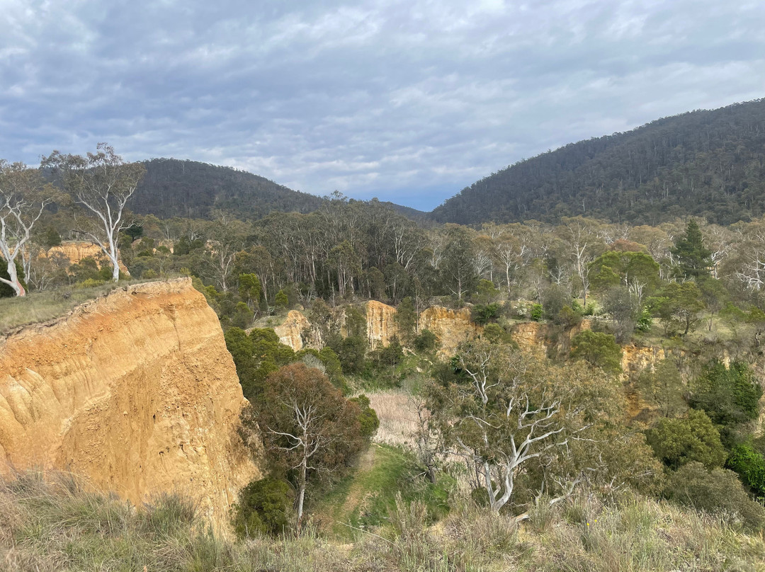 Pioneer Lookout-Omeo必去景点