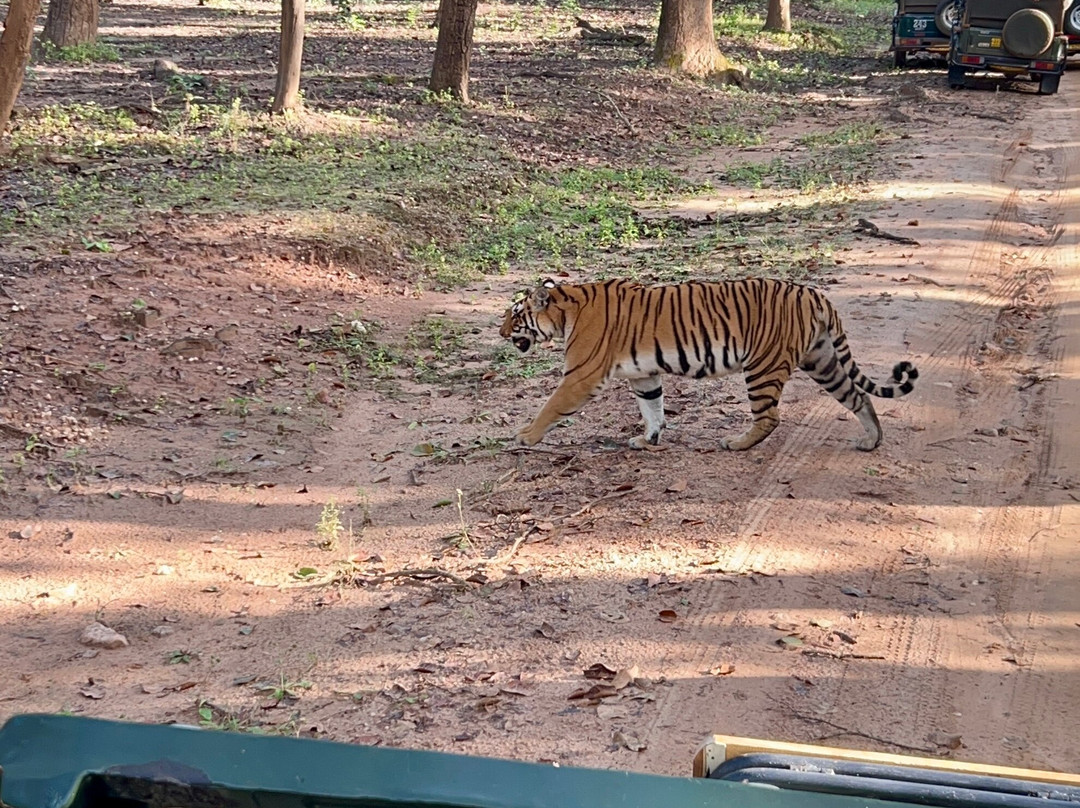 Banjaar Tola - A Taj Safari - Kanha National Park主图