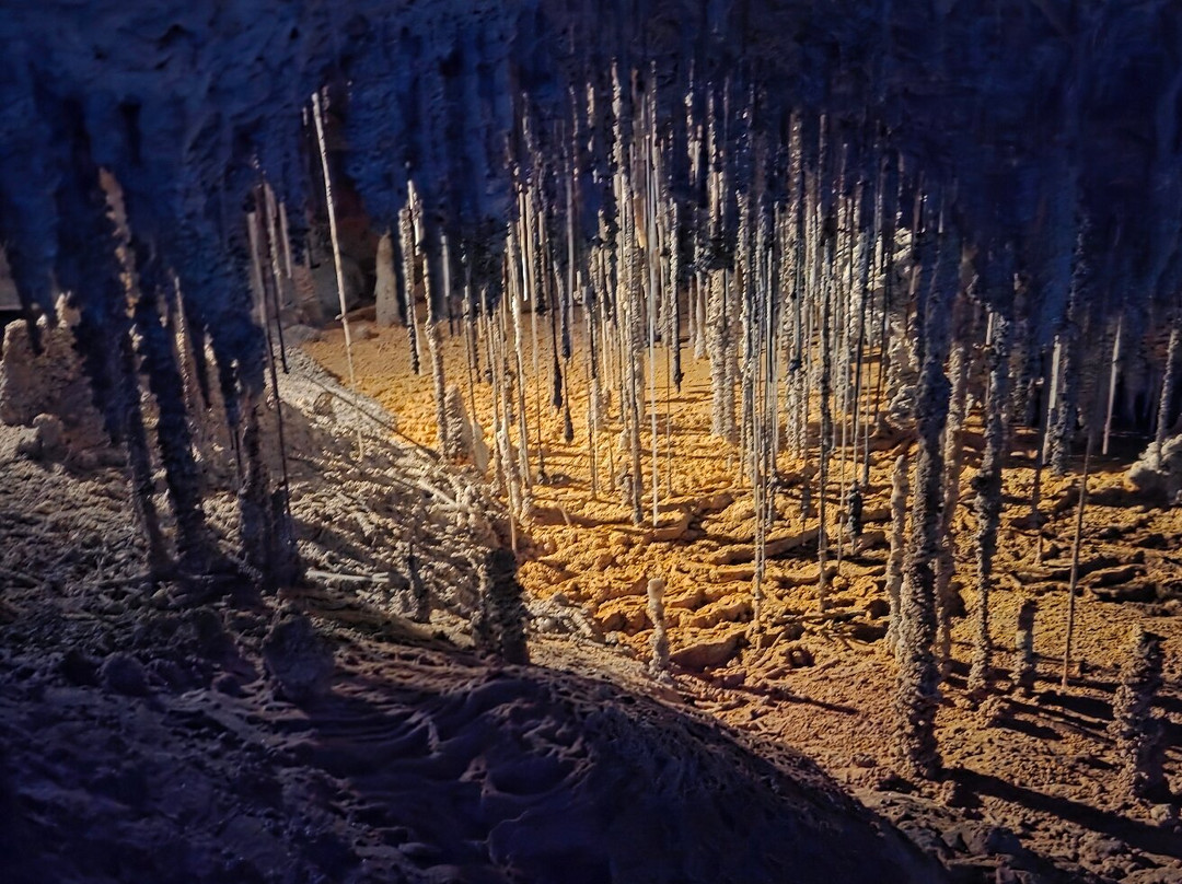Marakoopa Cave-茉莉溪必去景点