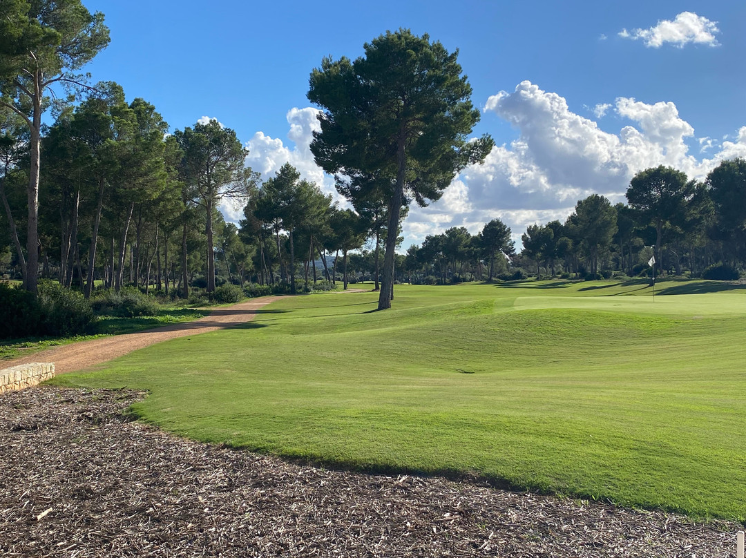 T Golf Palma-马洛卡帕尔马必去景点