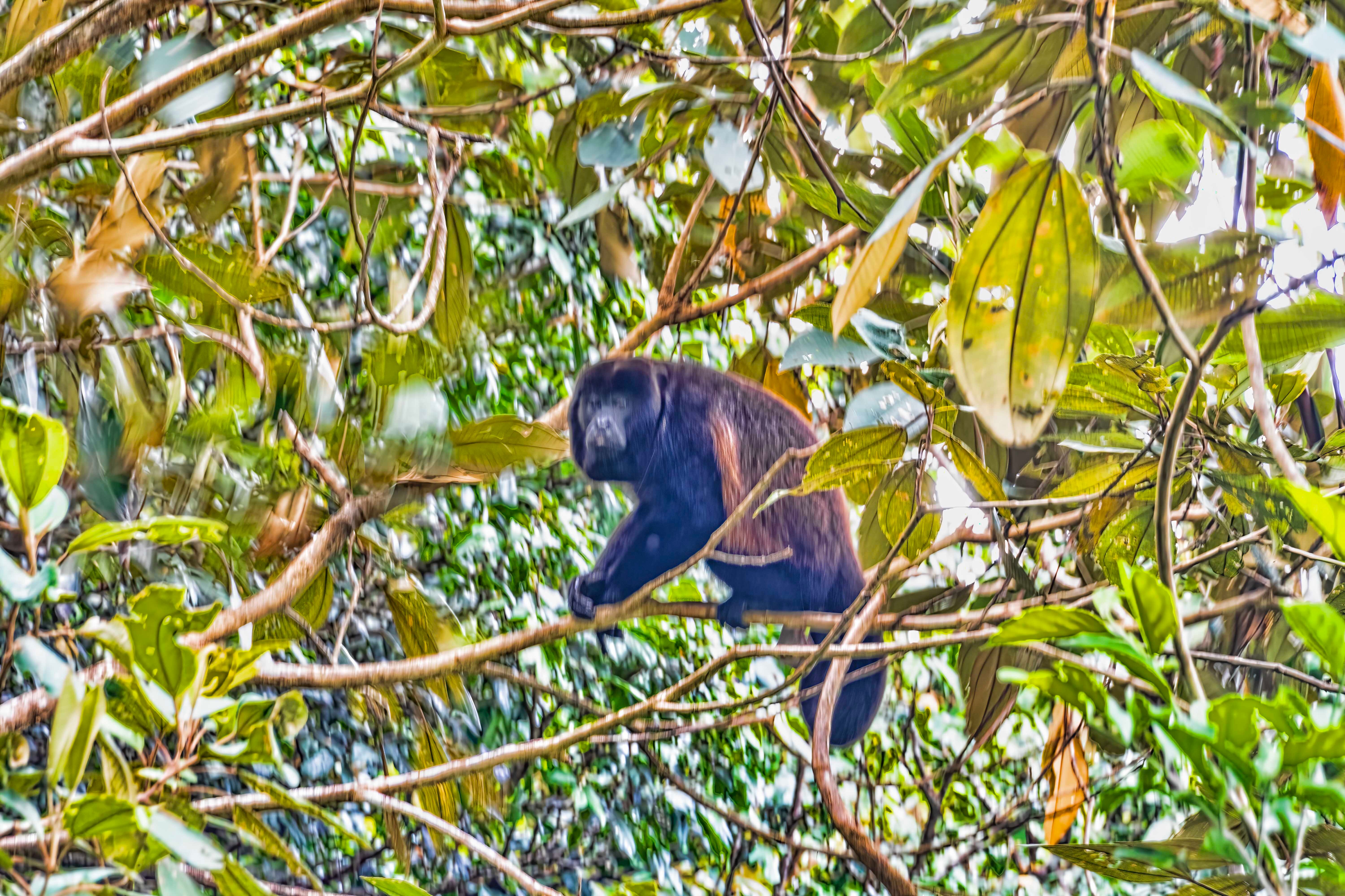 Morrillo Beach Eco Resort-浴室