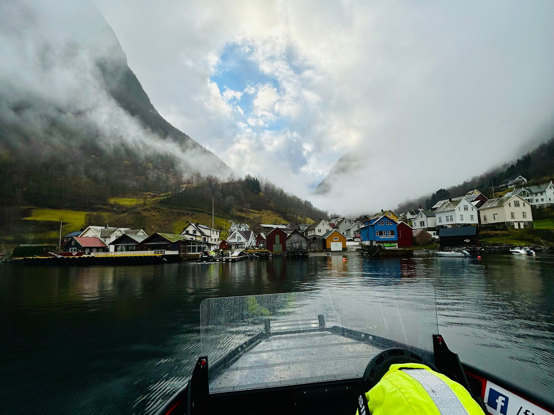 FjordSafari-弗洛姆必去景点