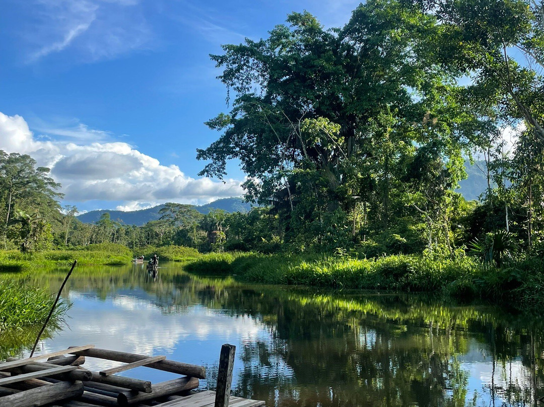 Inkamazonia Jungle Specialist-Manu必去景点