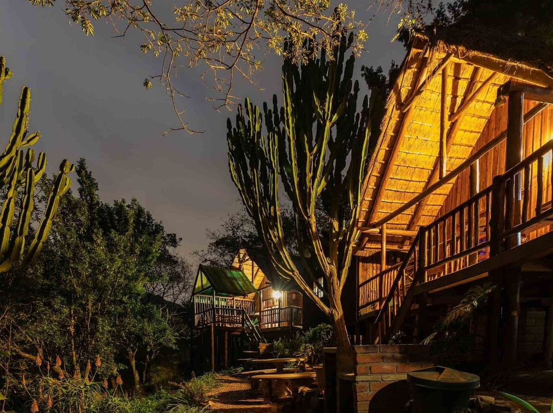 Manyavu酒店住宿-Tree House River Lodge