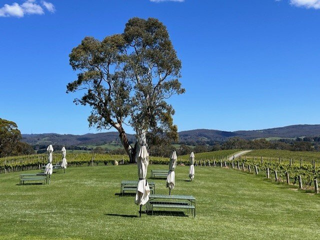 Nepenthe Wines-Balhannah必去景点