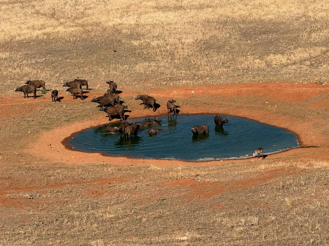Dida Tours and Safaris-山祖必去景点