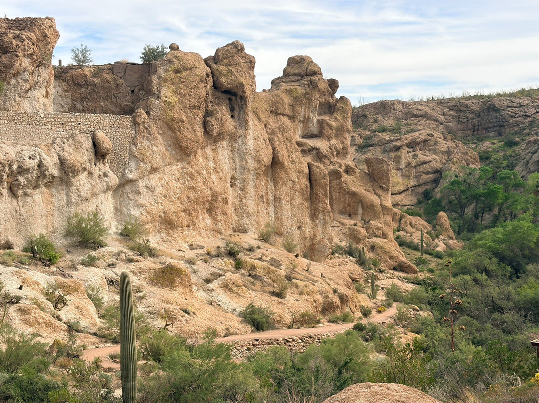 Boyce Thompson Arboretum-Superior必去景点