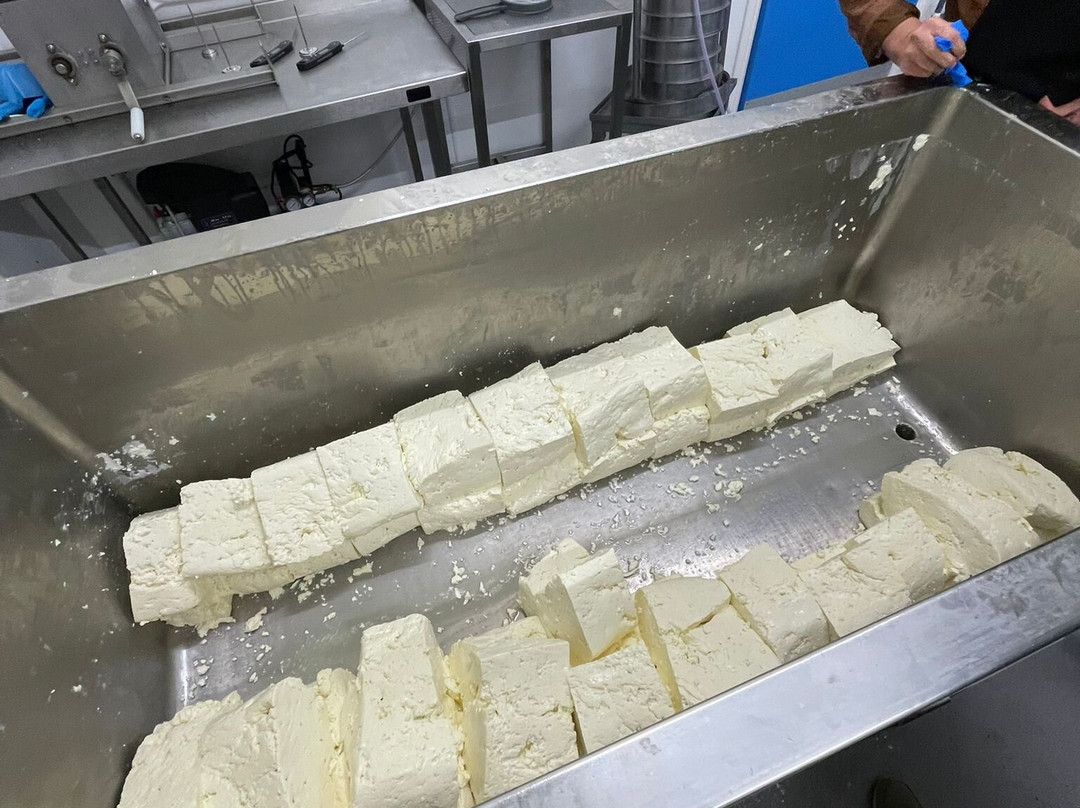 Lacey's Cheese-Reeth必去景点