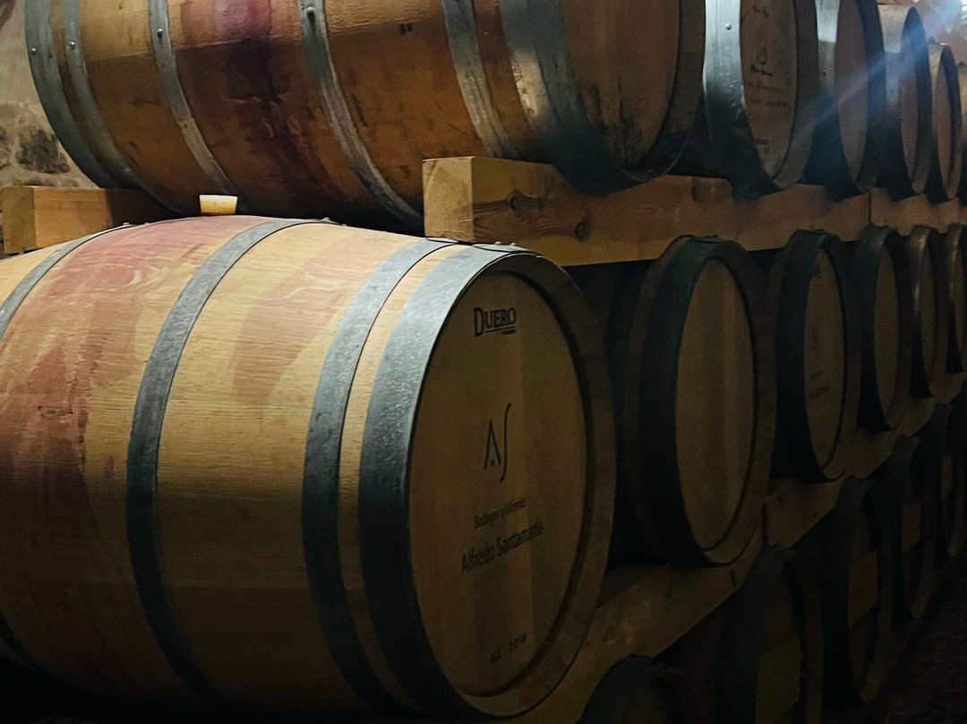 Pago de Trascasas主图