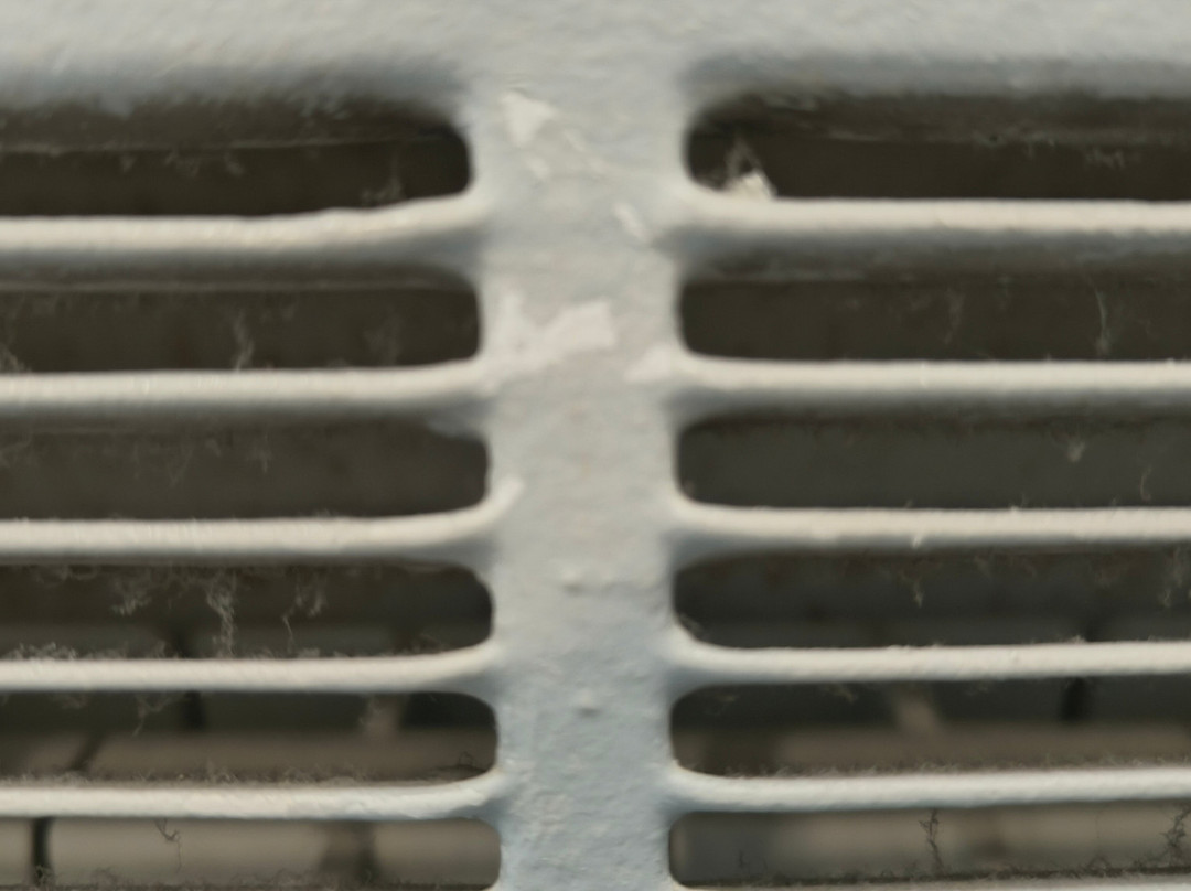 Hotel Tuscolano主图