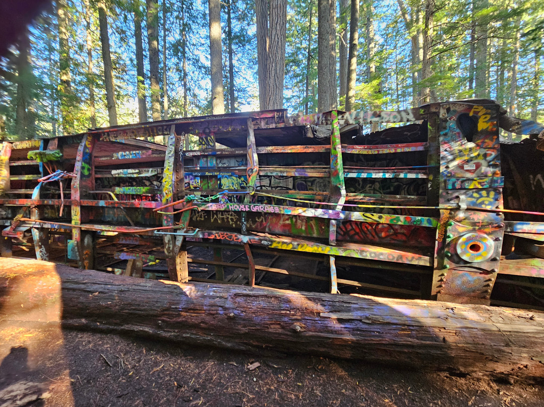 The Whistler Train Wreck Trail-惠斯勒必去景点