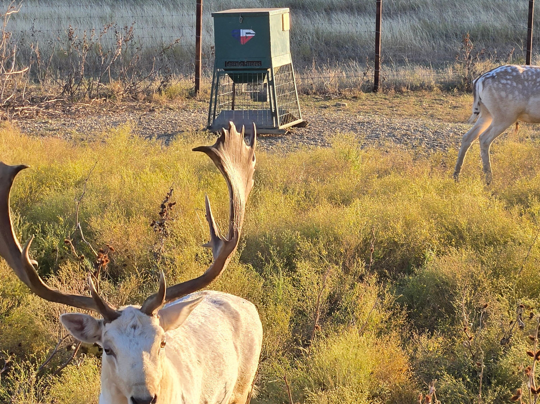 Blue Hills Ranch主图