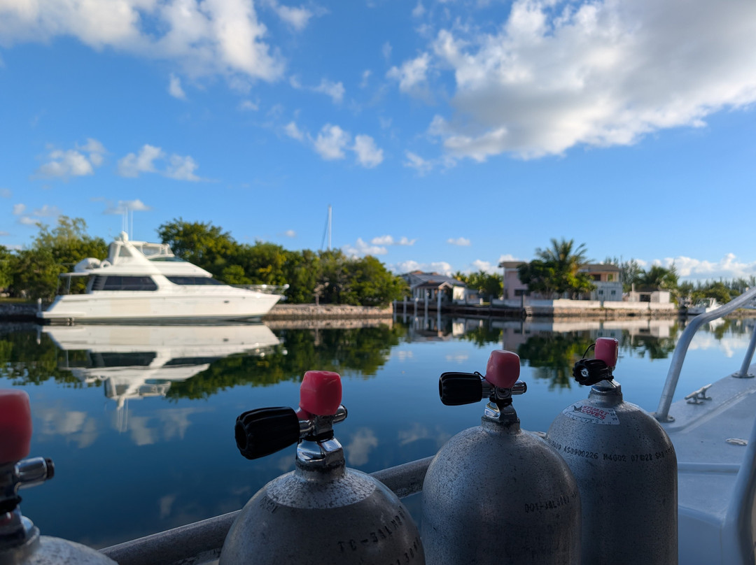 Stuart Cove's-拿骚必去景点