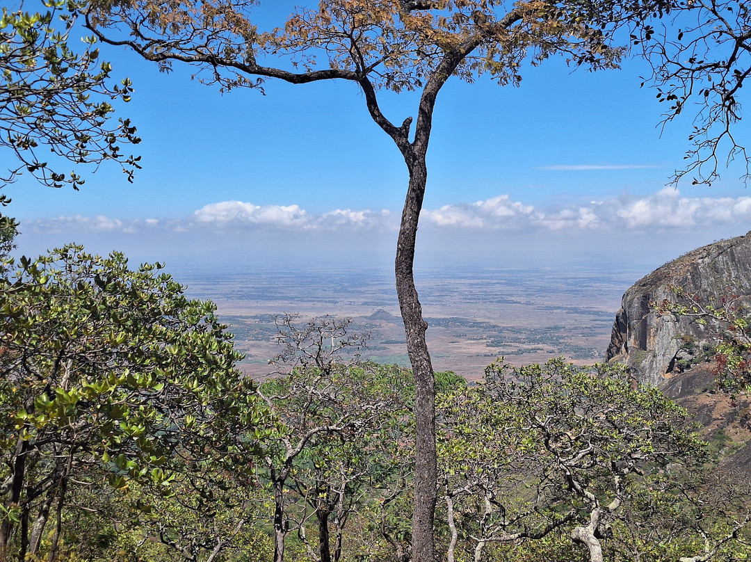 Mulanje Mountain Tour Guide-姆兰杰必去景点