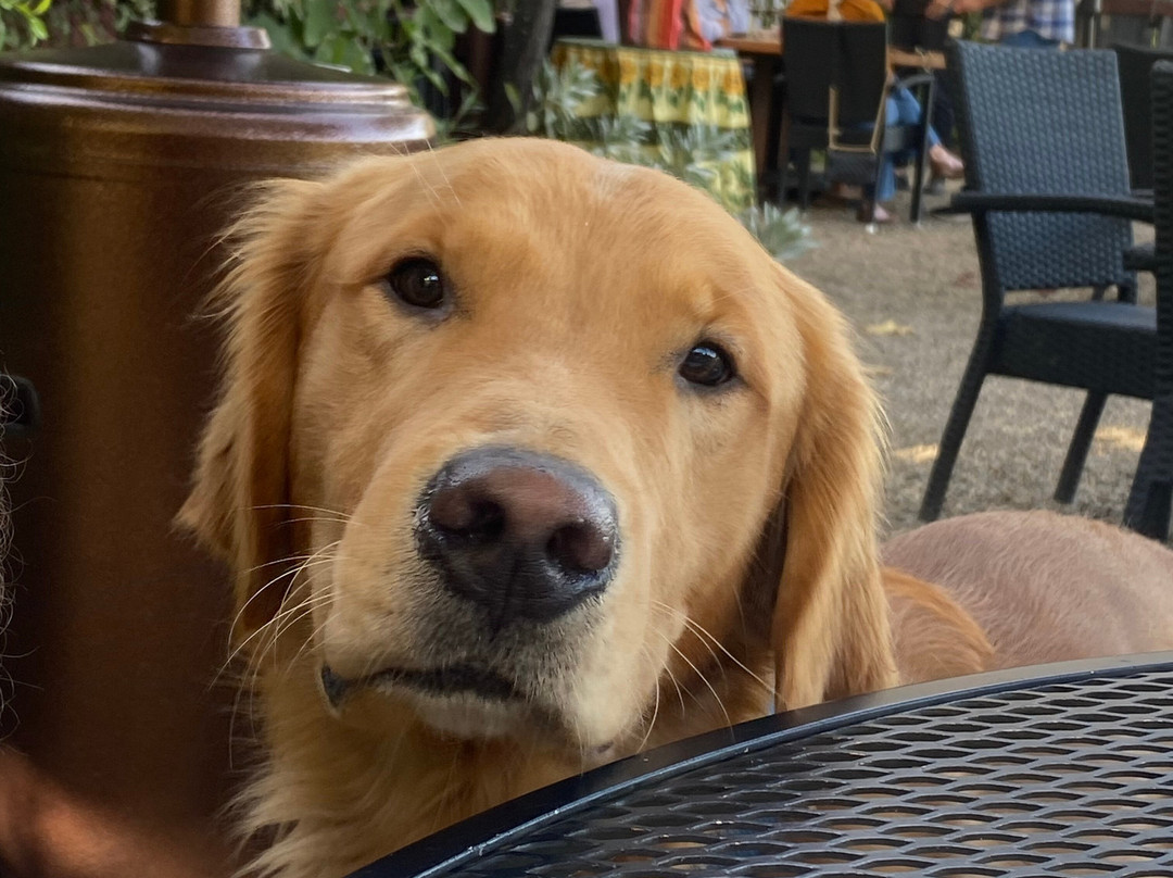 Tres Sabores Winery-圣海伦娜必去景点