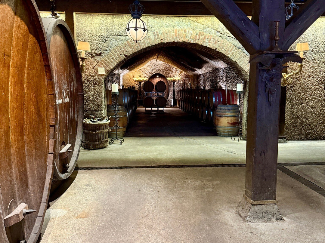 Buena Vista Winery-索诺玛必去景点