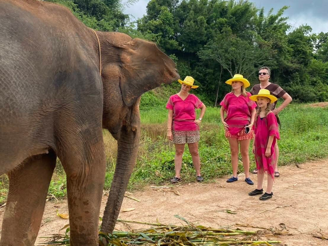 Elephant Fun Farm Chiangmai Thailand-Nam Phrae必去景点