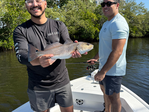 Tampa Bay Flats Fishing-坦帕必去景点