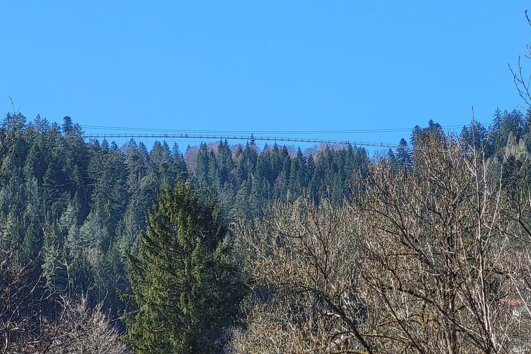 WildLine Hängebrücke-Bad Wildbad必去景点