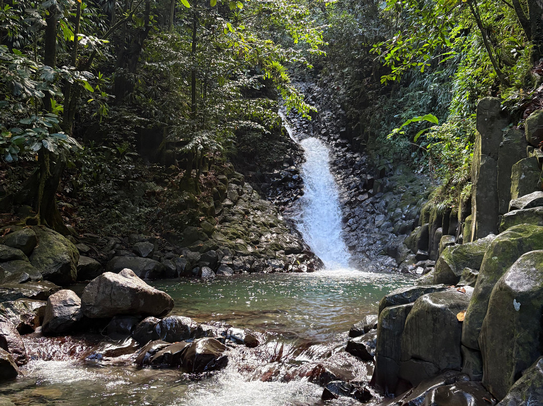 La Cascade Paradis-Vieux-Habitants必去景点