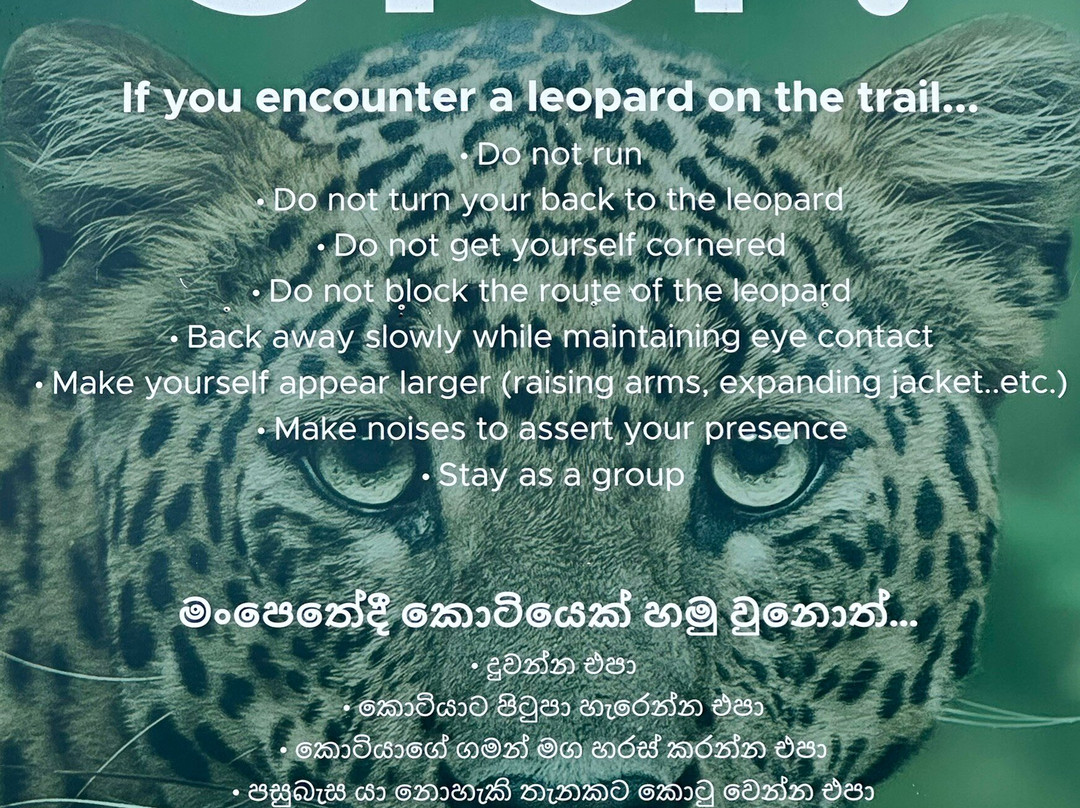 Best of Lanka-科伦坡必去景点