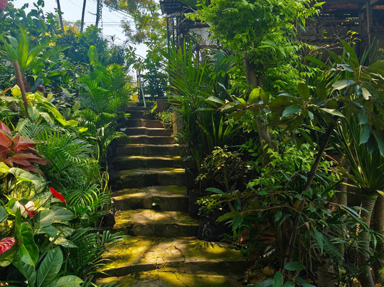 Malang Walking Tour-玛琅必去景点