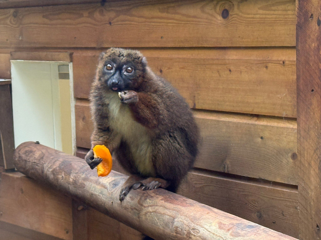 Shaldon Wildlife Trust-Shaldon必去景点