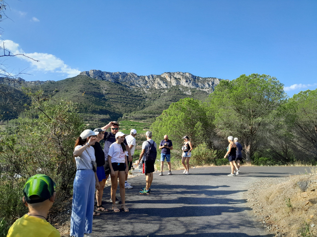 Cave Les Vignerons de Maury-Maury必去景点