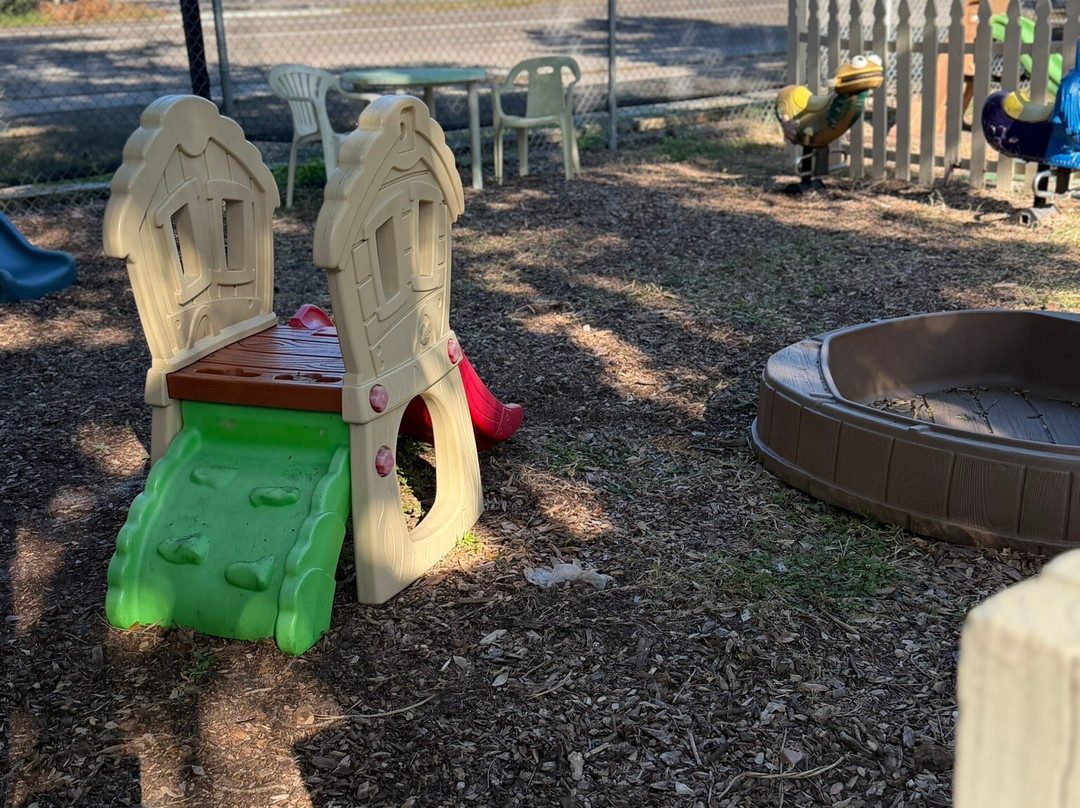 Suncoast Primate Sanctuary-帕姆港必去景点