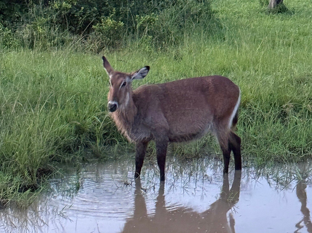Churchill Safaris & Travel-坎帕拉必去景点
