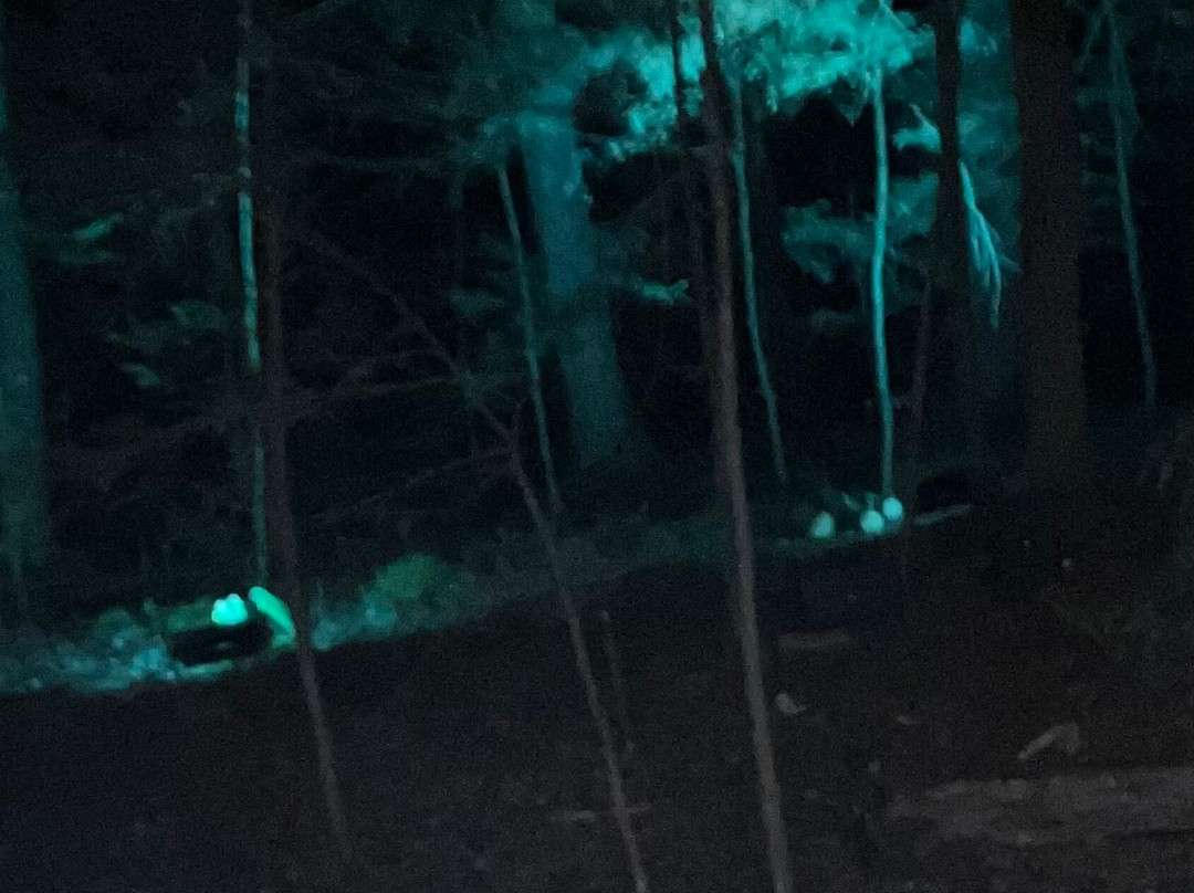 The Mount, Edith Wharton's Home-莱诺克斯必去景点