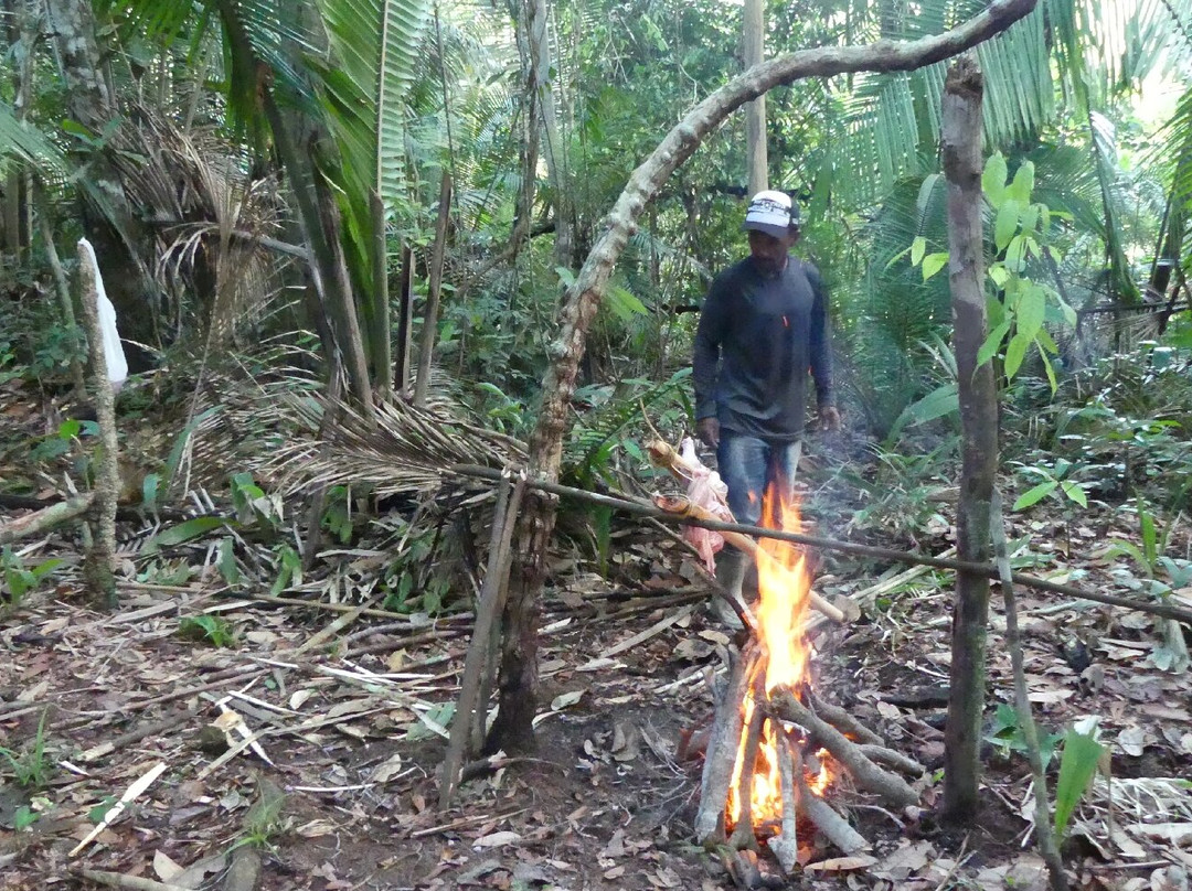 Amazon Green Tours-玛瑙斯必去景点