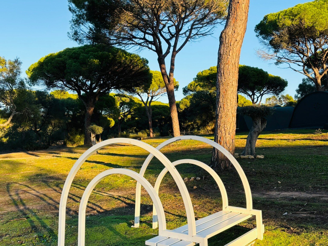 Fundación Montenmedio Contemporánea-贝赫尔－德拉弗龙特拉必去景点