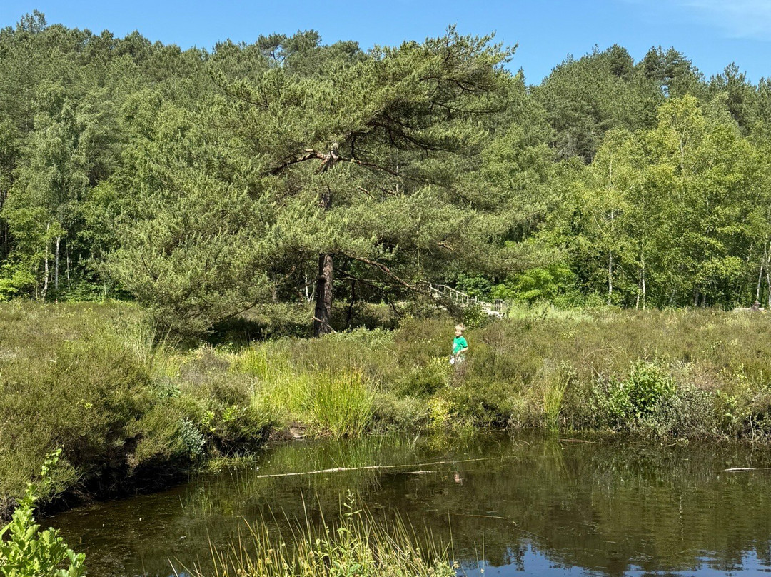 Buitencentrum Schoorlse Duinen Schoorl-Schoorl必去景点