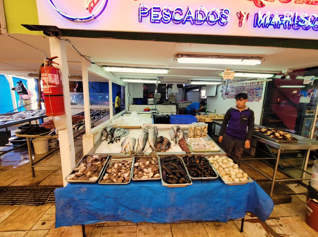 Puerto de Coquimbo-Coquimbo必去景点