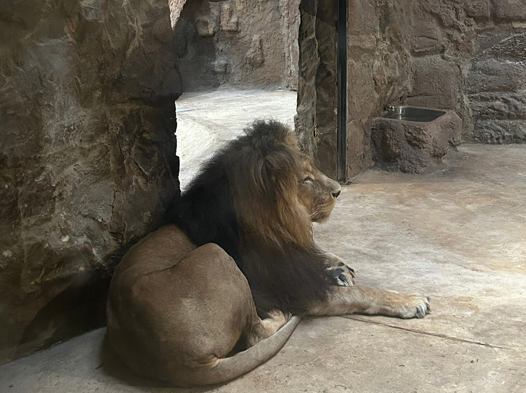 Oliwa Zoo-格但斯克必去景点