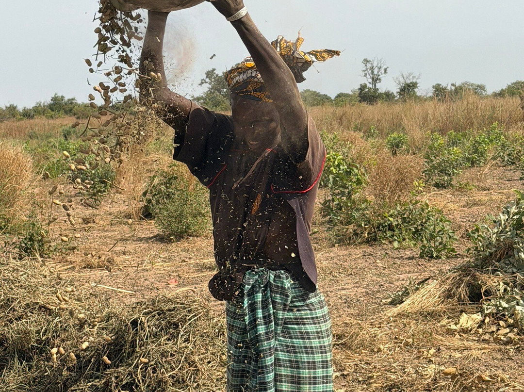 Simon Tours-Kotu必去景点