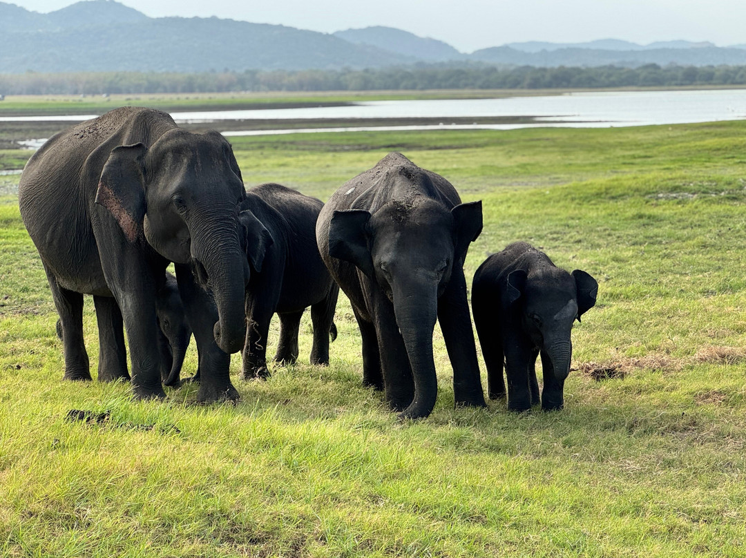 Sanju Ceylon Tours & Taxi