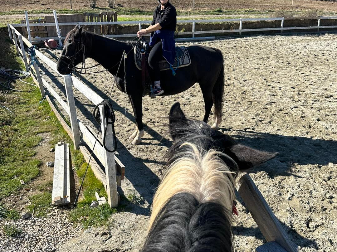 Ranch Aurora Bulgaria-Zasele必去景点