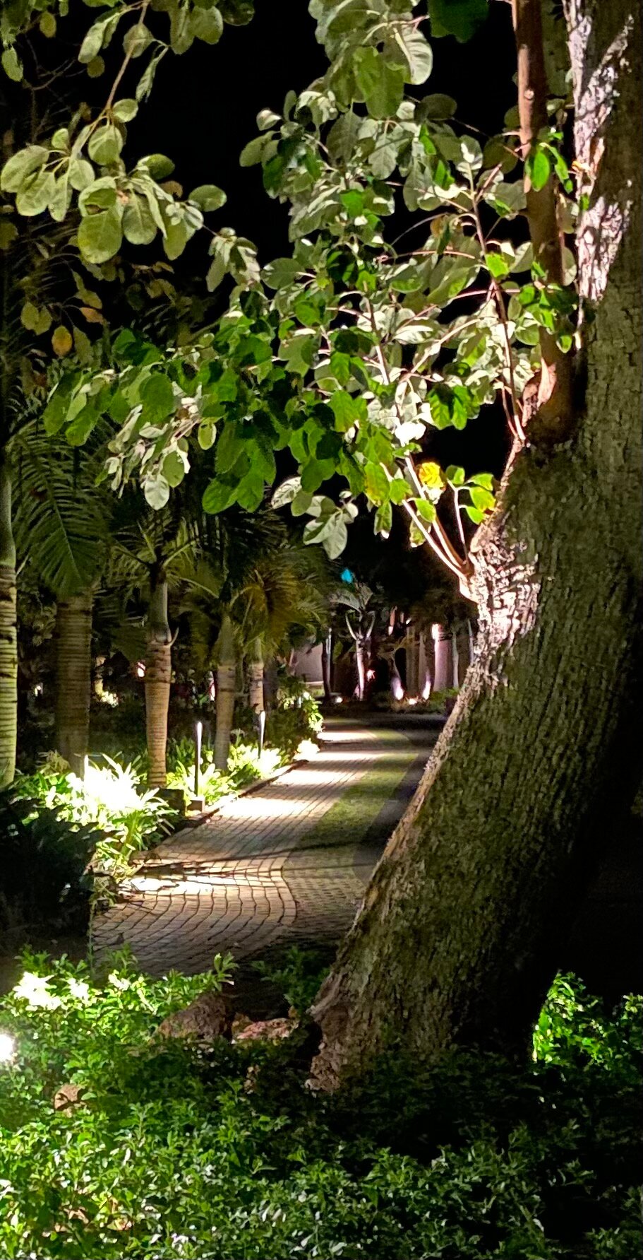 安娜希塔度假村-浴室