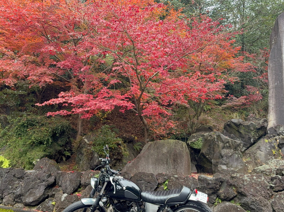 雾岛神宫-雾岛市必去景点