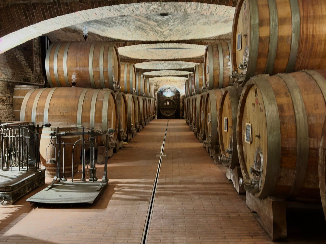 Fontanafredda-塞拉伦加达尔巴必去景点