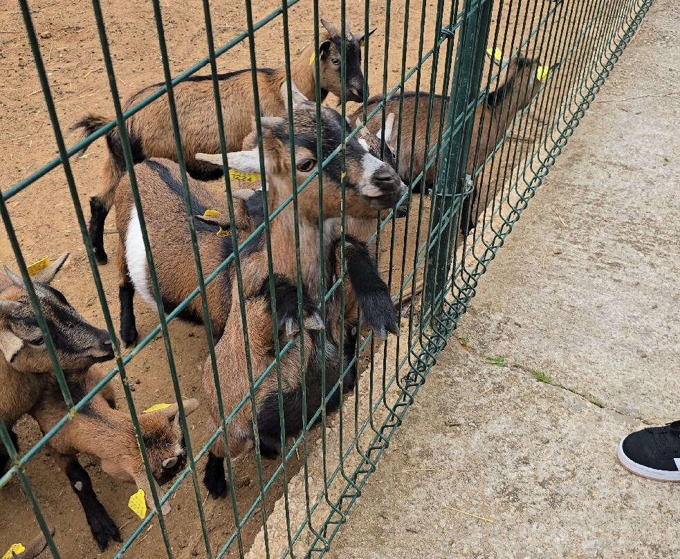 Krazy World Zoo-Algoz必去景点