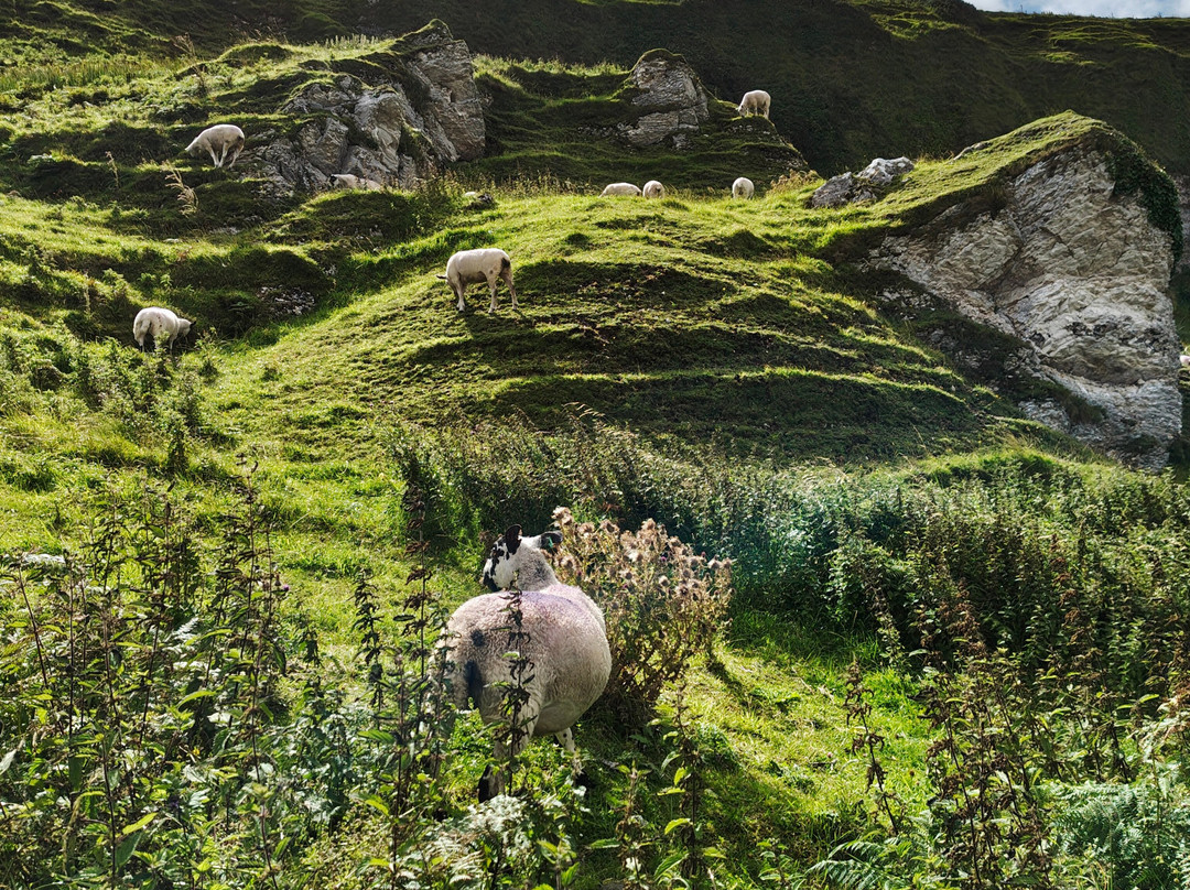 Ballintoy Harbour-Ballintoy必去景点