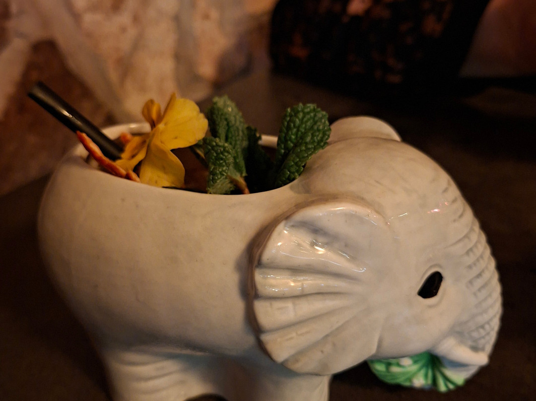 Studio 54 - Cocktails Bar-阿拉斯必去景点