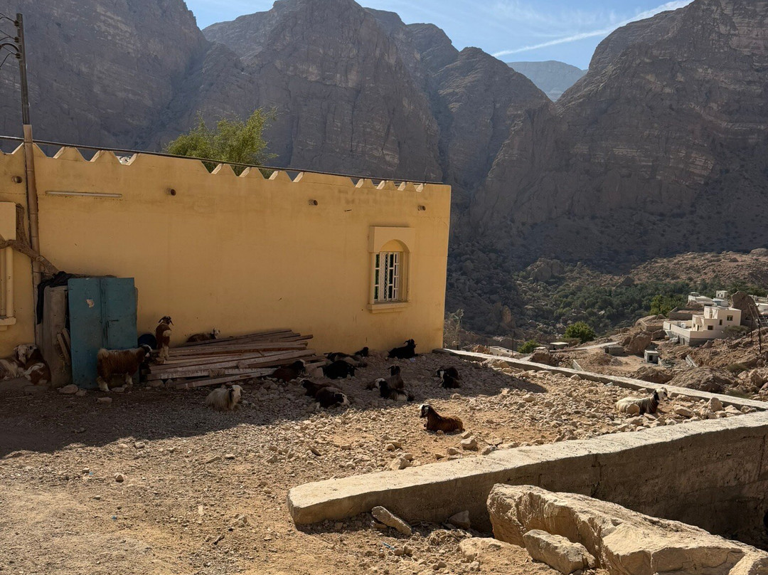 WABAR TOURS-马斯喀特必去景点